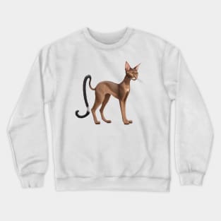 Oriental Shorthair cat Crewneck Sweatshirt